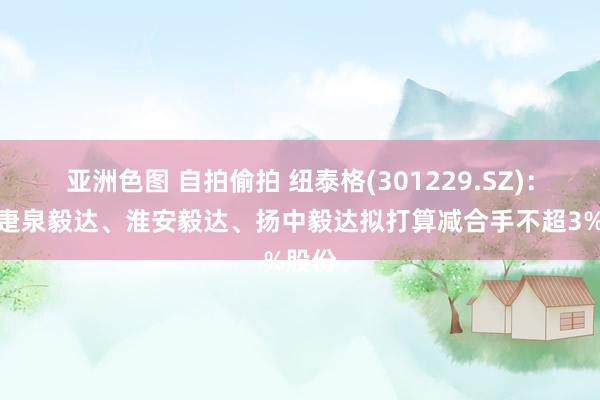 亚洲色图 自拍偷拍 纽泰格(301229.SZ)：推动疌泉毅达、淮安毅达、扬中毅达拟打算减合手不超3%股份