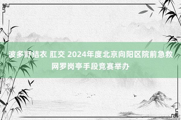 波多野结衣 肛交 2024年度北京向阳区院前急救网罗岗亭手段竞赛举办