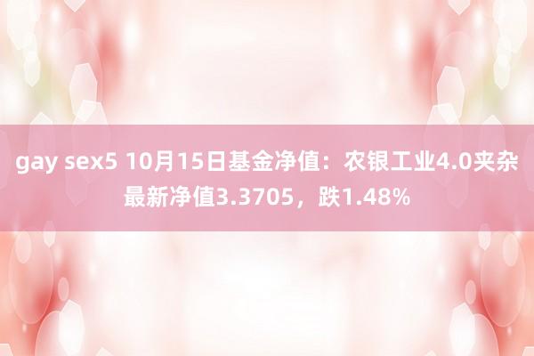 gay sex5 10月15日基金净值：农银工业4.0夹杂最新净值3.3705，跌1.48%