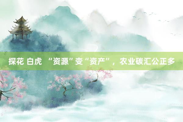 探花 白虎  “资源”变“资产”，农业碳汇公正多