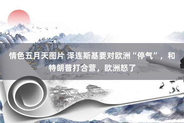 情色五月天图片 泽连斯基要对欧洲“停气”，和特朗普打合营，欧洲怒了
