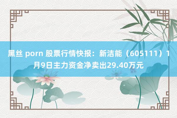 黑丝 porn 股票行情快报：新洁能（605111）1月9日主力资金净卖出29.40万元