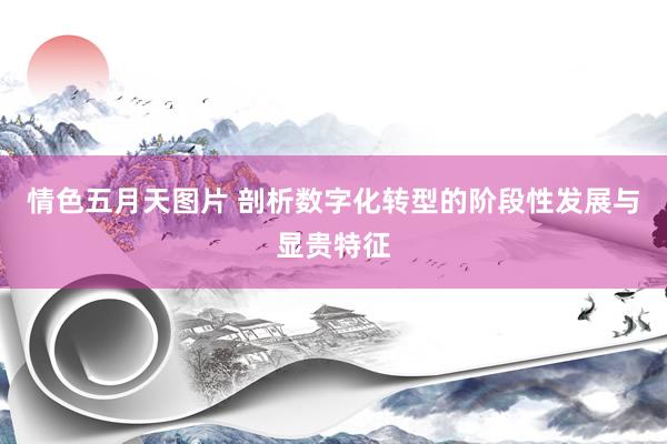 情色五月天图片 剖析数字化转型的阶段性发展与显贵特征