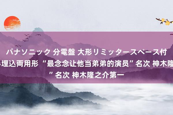 パナソニック 分電盤 大形リミッタースペース付 露出・半埋込両用形 “最念念让他当弟弟的演员”名次 神木隆之介第一