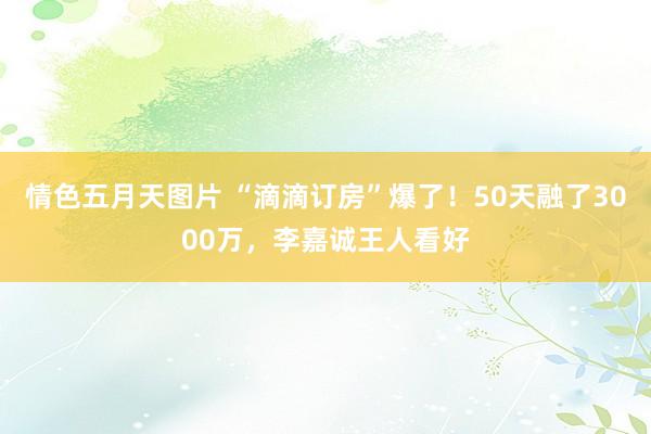 情色五月天图片 “滴滴订房”爆了！50天融了3000万，李嘉诚王人看好