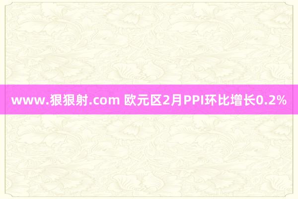 www.狠狠射.com 欧元区2月PPI环比增长0.2%